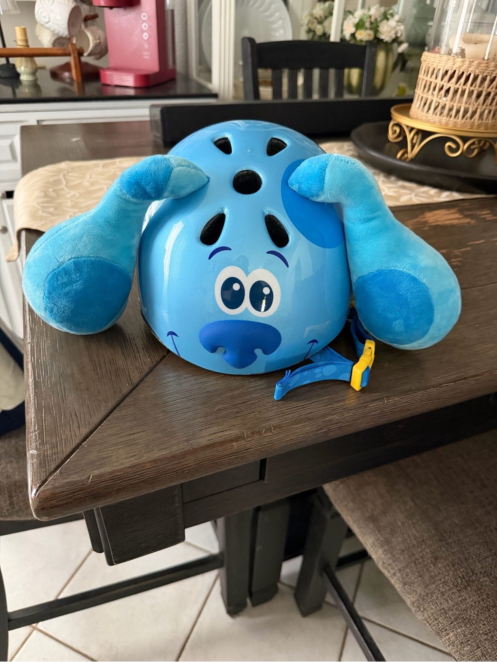 Blues Clues Bike Riding Helmet Plush Ears Schwinn
Bicycle